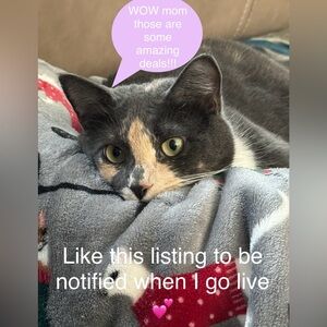 ☀️☀️LIKE THIS LISITNG SO YOU CAN BE NOTIFIED!! Going live tonight☀️☀️